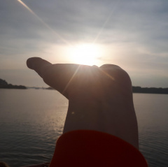 ACCEUILLIR ET ACCOMPAGNER LES EMOTIONS