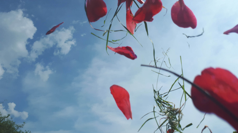 CHARGE MENTALE : S'ALLEGER