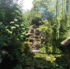 DEPASSER SES BLOCAGES