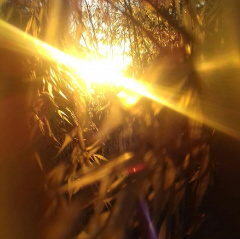 ECOUTER SON RESSENTI