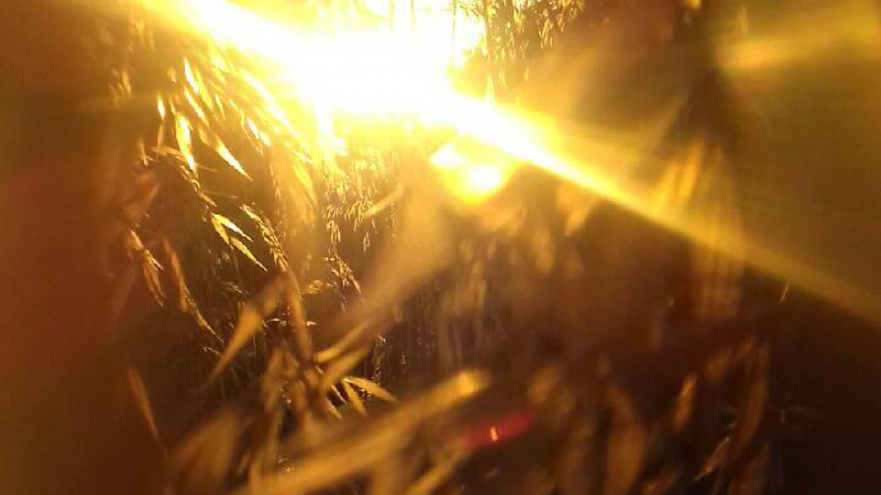 ECOUTER SON RESSENTI