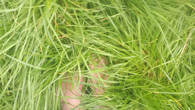 Orientation : collégiens et lycéens