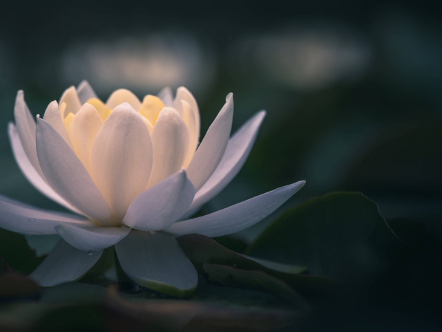 Calendrier de l'avent pour s'éveiller et créer l'équilibre